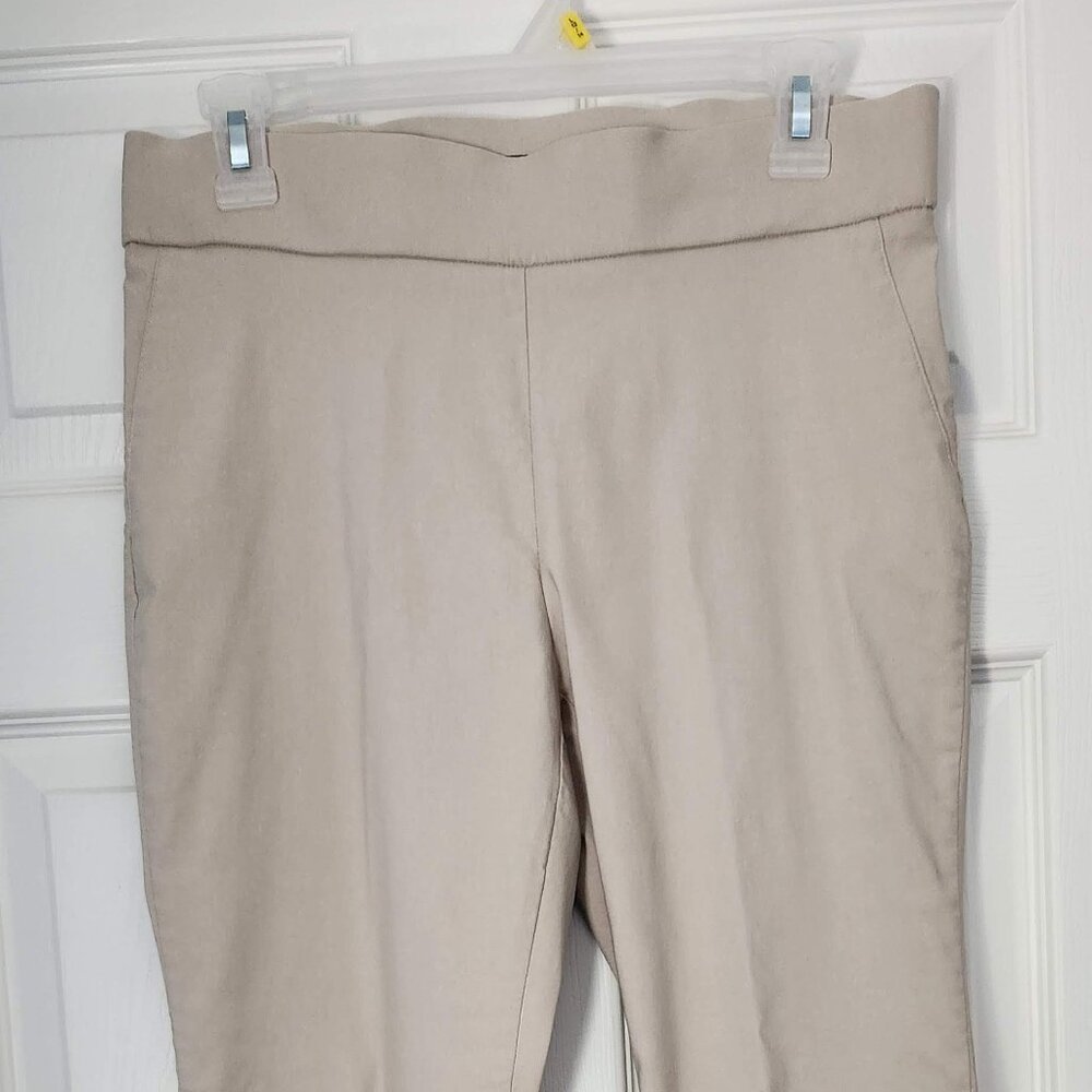 Counterparts Stretch Mid-Rise Straight Leg Ankle-Length Pants